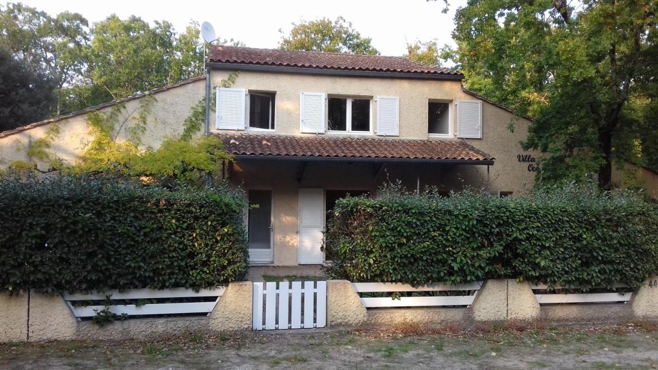 Appartement Soulac Sur Mer A 500 M De La Plage N 5 外观 照片