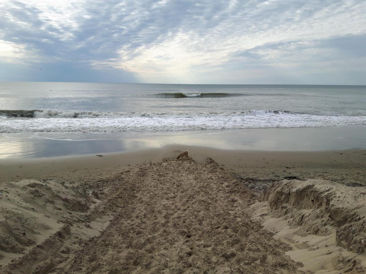 Appartement Soulac Sur Mer A 500 M De La Plage N 5 外观 照片